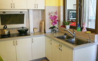 老板廚具評測 專業(yè)廚房與品質(zhì)衛(wèi)浴的明智之選